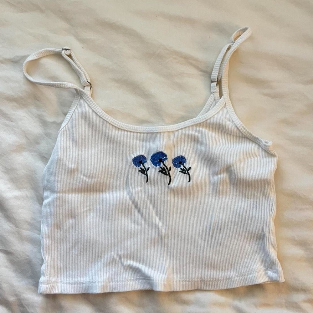 Hollister Crop Top